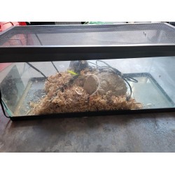 Glass Aquarium / Reptile Tank with Accessories Glass Aquarium / Reptile Tank with Accessories