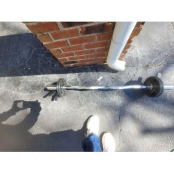 Olympic Curl Bar with Weight Plates