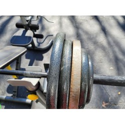 Cast Iron Olympic Weight Plates (45-lb Set)