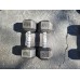 dumbells